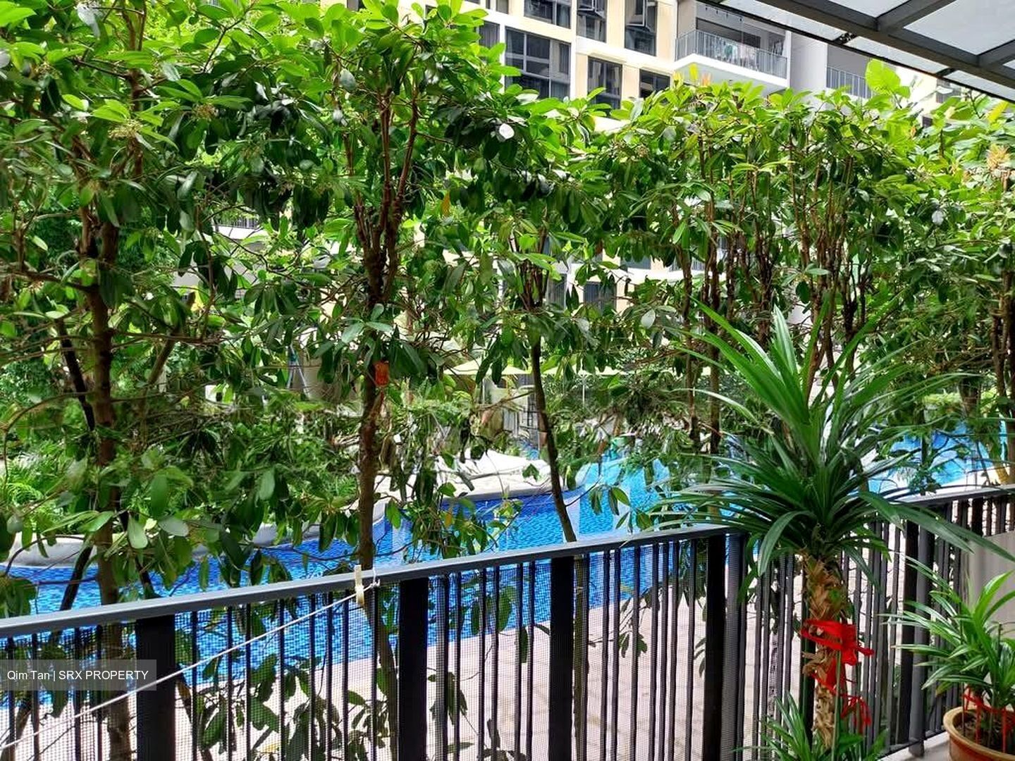 The Rainforest (D23), Condominium #580438231